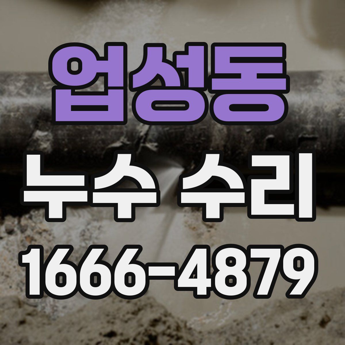 업성동 누수 수리