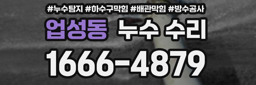 업성동 누수 수리