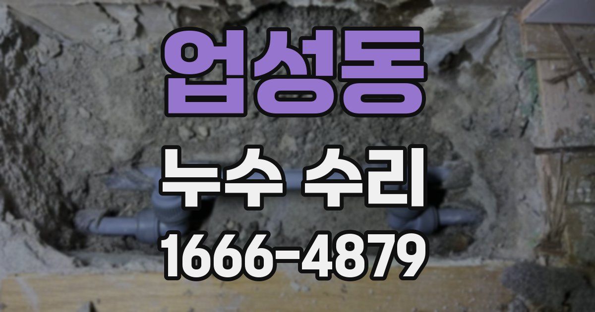 업성동 누수 수리