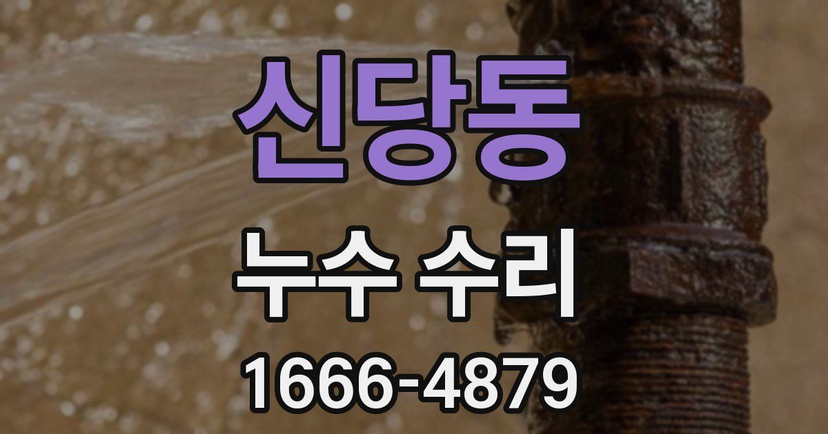 신당동 누수 수리
