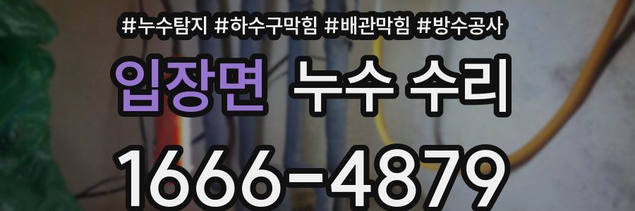입장면 누수 수리