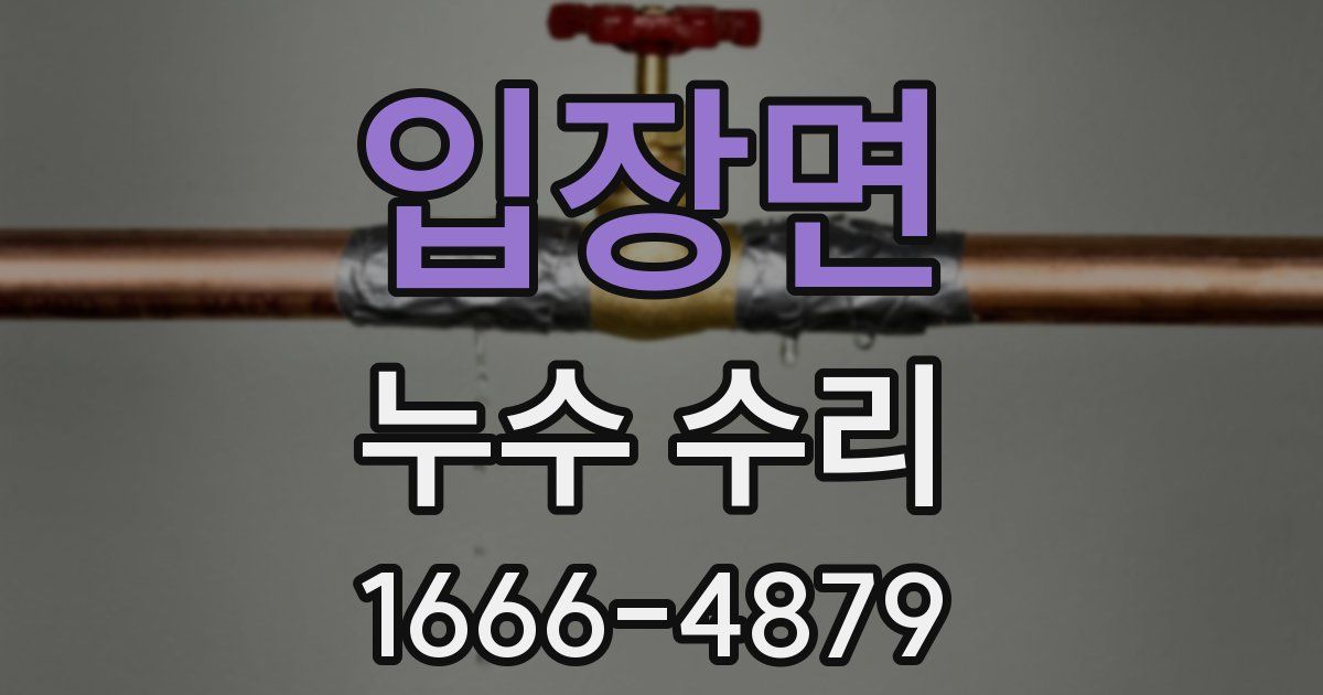 입장면 누수 수리