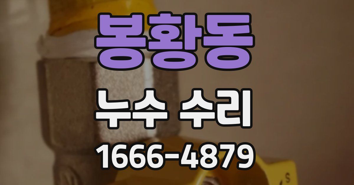 봉황동 누수 수리