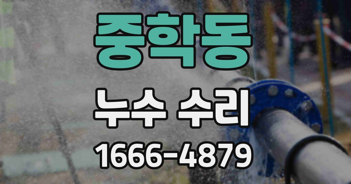 중학동 누수 수리