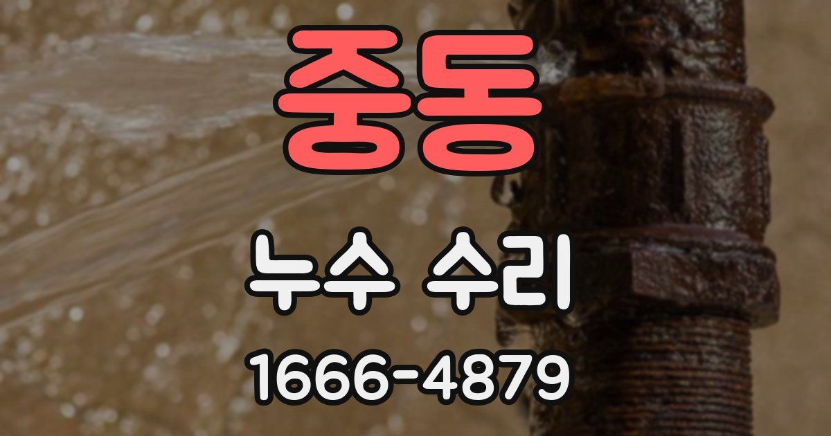 중동 누수 수리