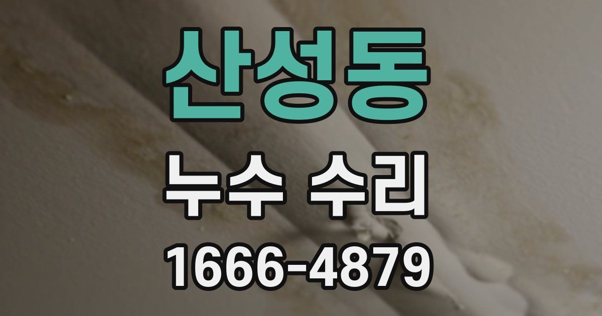 산성동 누수 수리