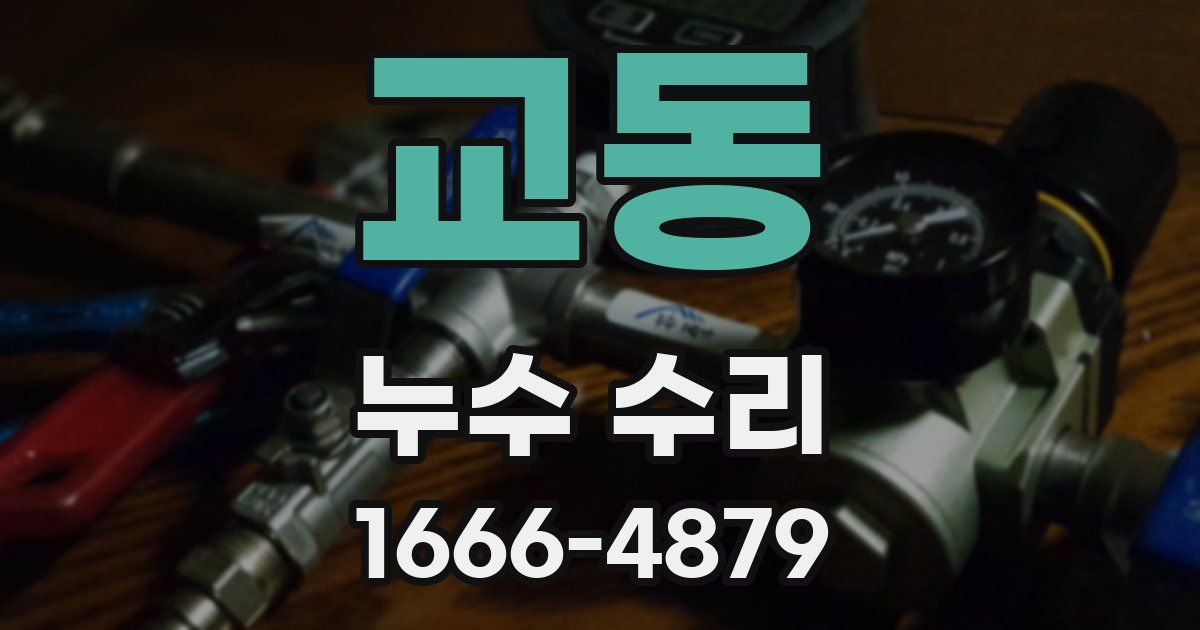 교동 누수 수리
