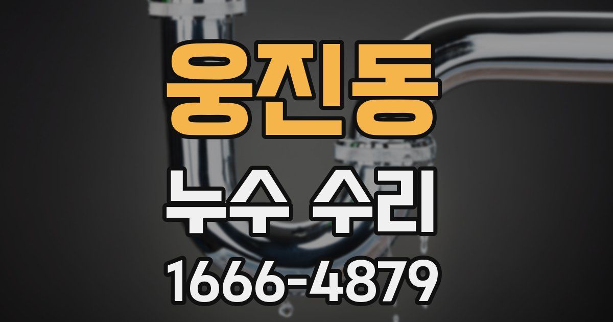 웅진동 누수 수리