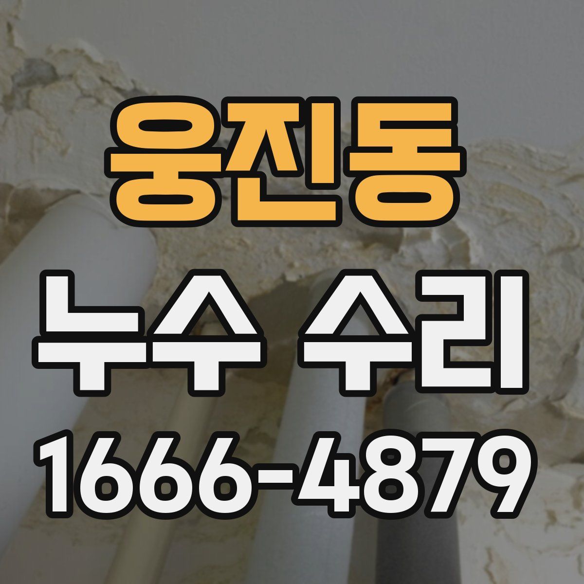 웅진동 누수 수리