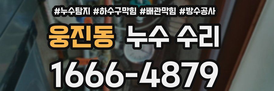 웅진동 누수 수리