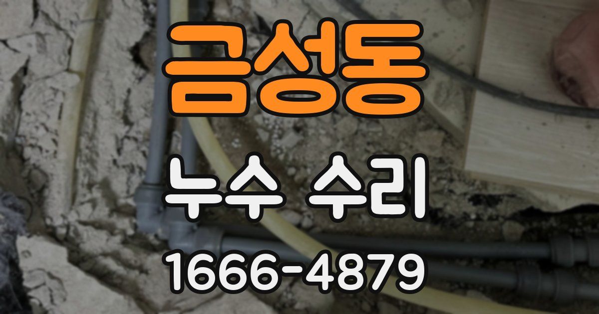 금성동 누수 수리