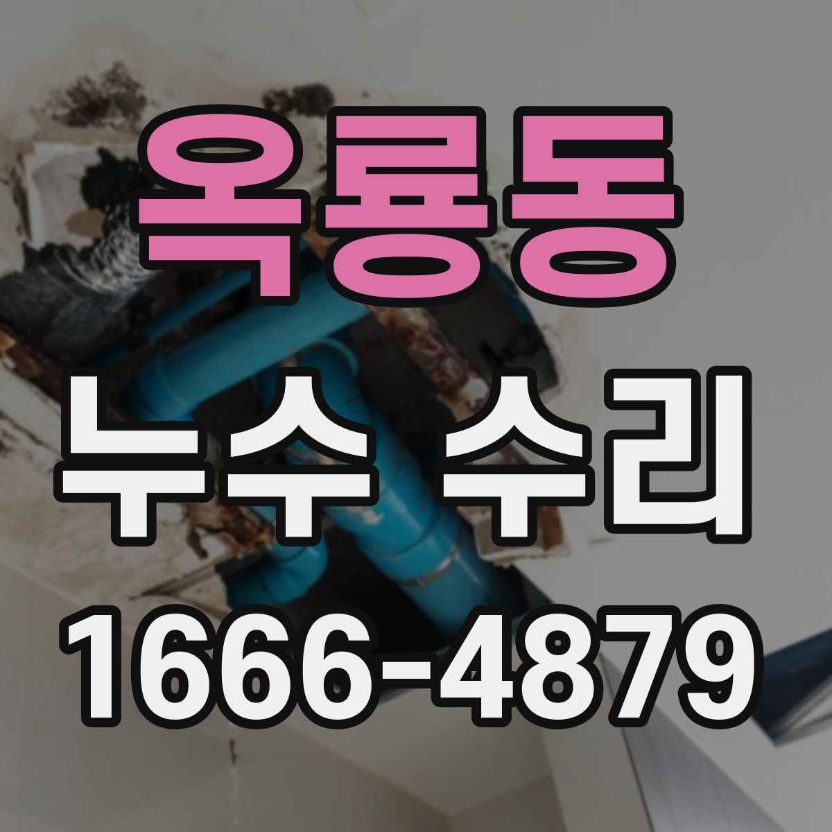 옥룡동 누수 수리