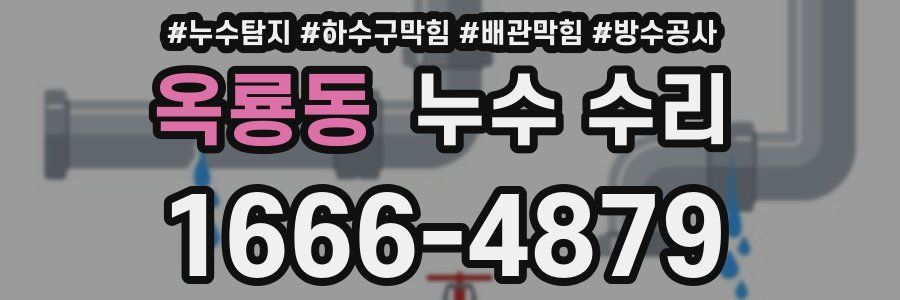 옥룡동 누수 수리