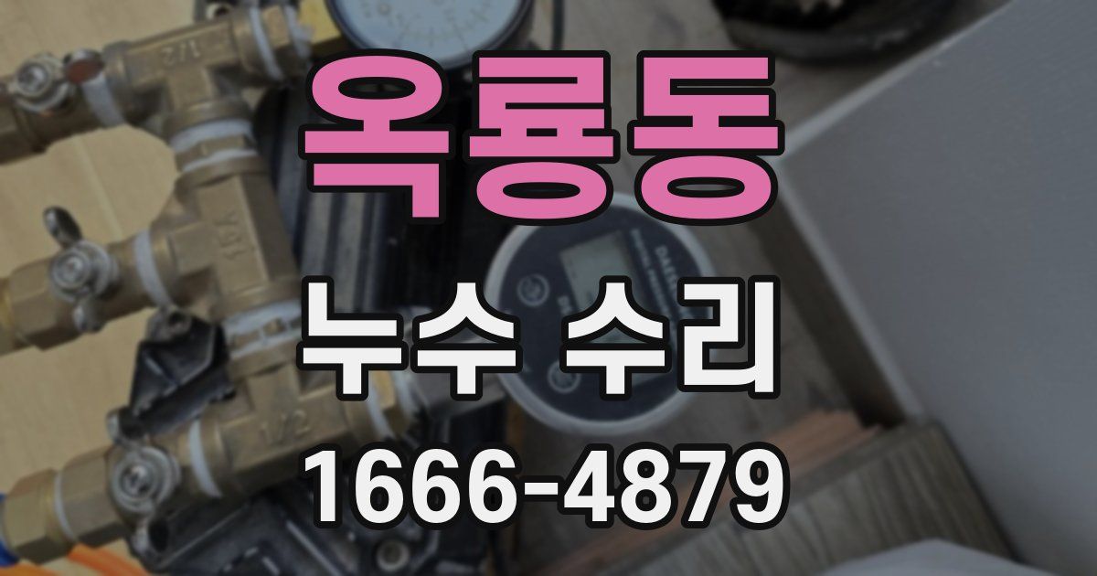 옥룡동 누수 수리
