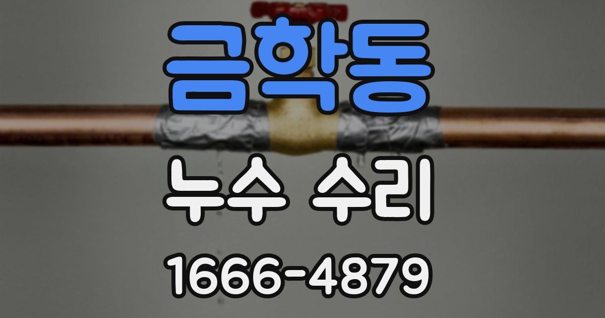 금학동 누수 수리