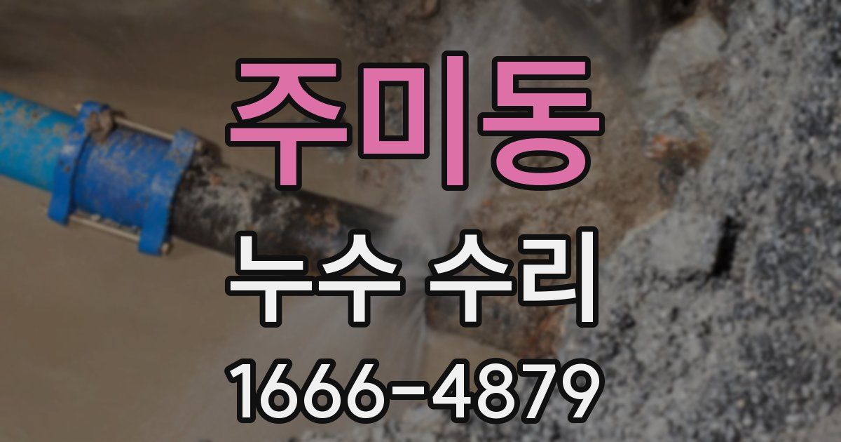 주미동 누수 수리