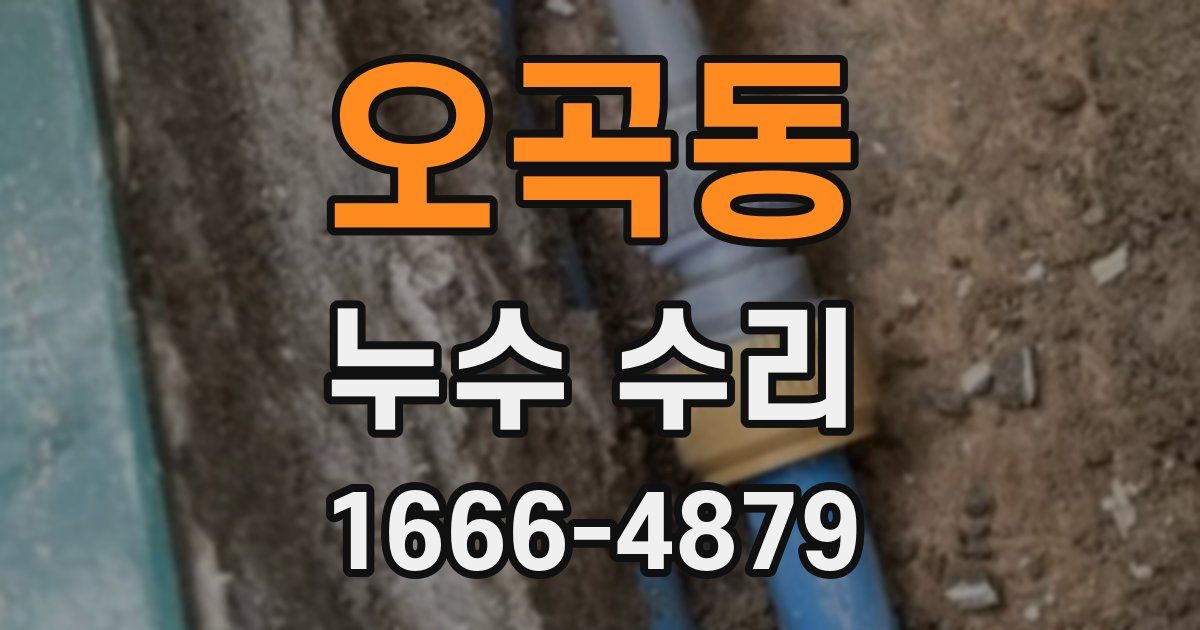 오곡동 누수 수리