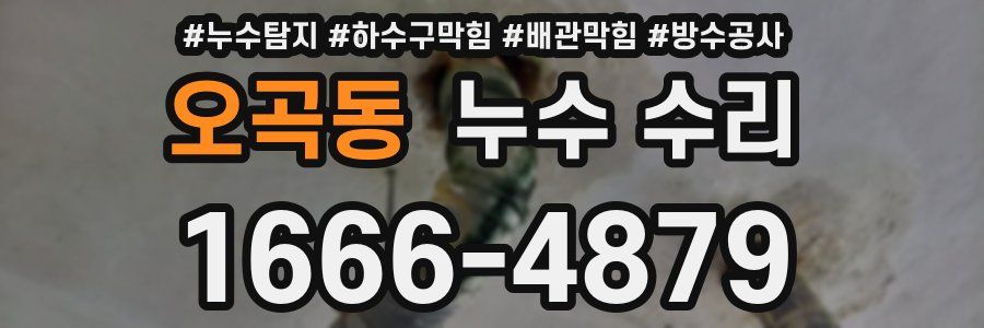 오곡동 누수 수리