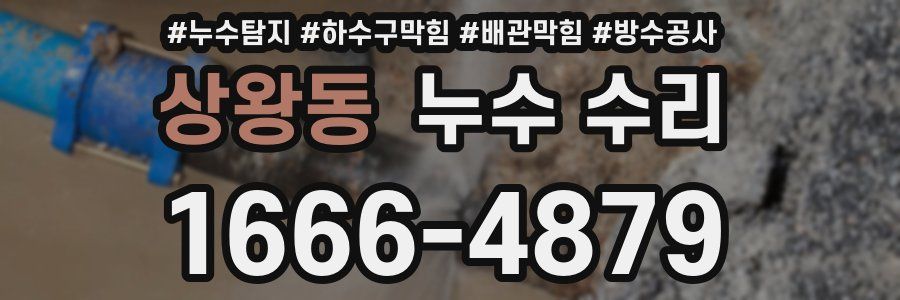 상왕동 누수 수리
