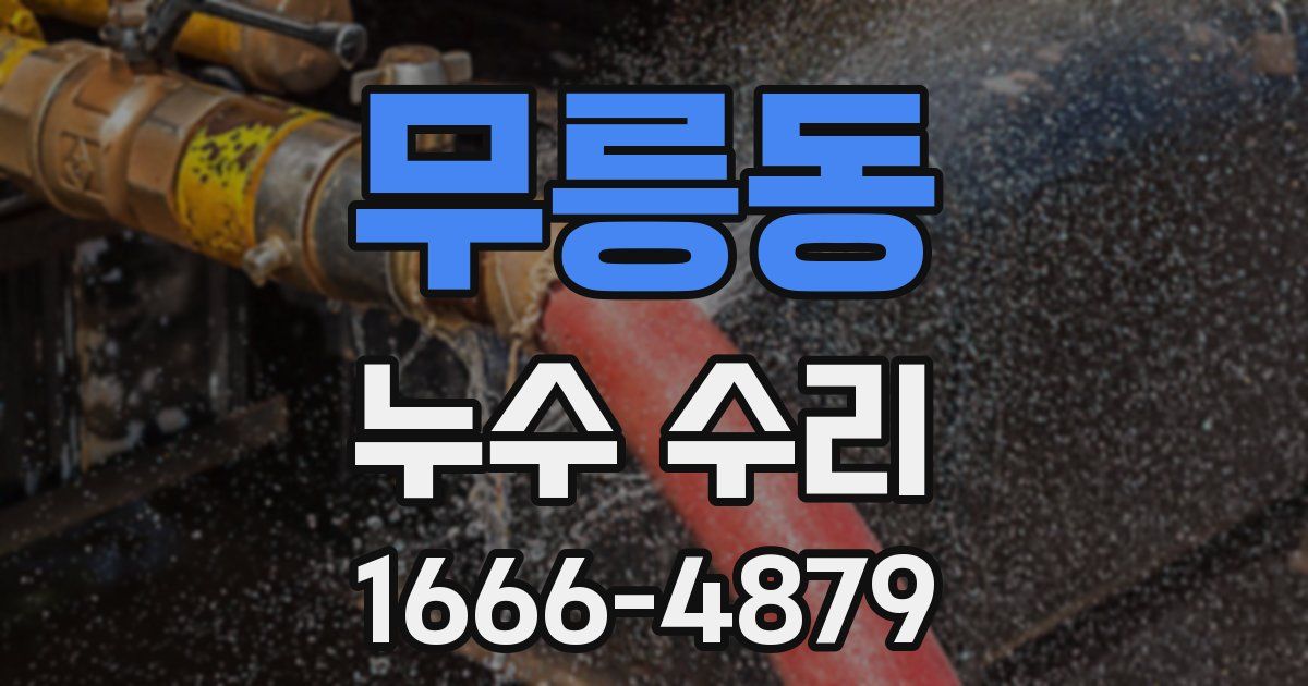 무릉동 누수 수리