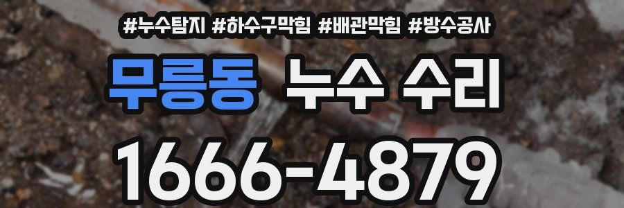 무릉동 누수 수리
