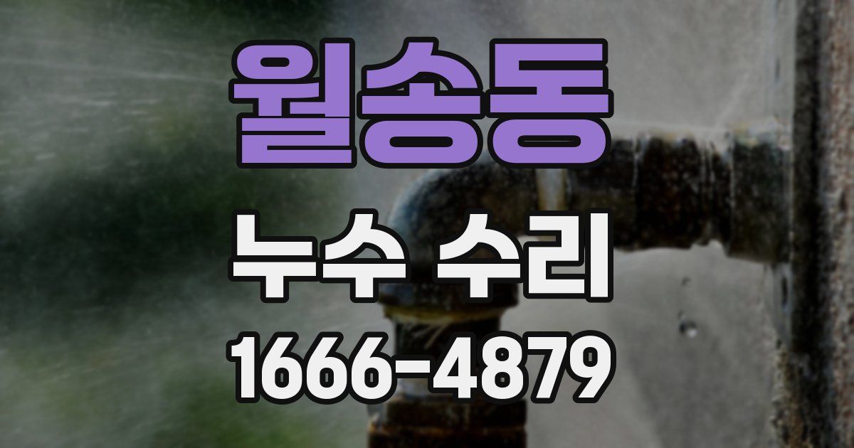 월송동 누수 수리