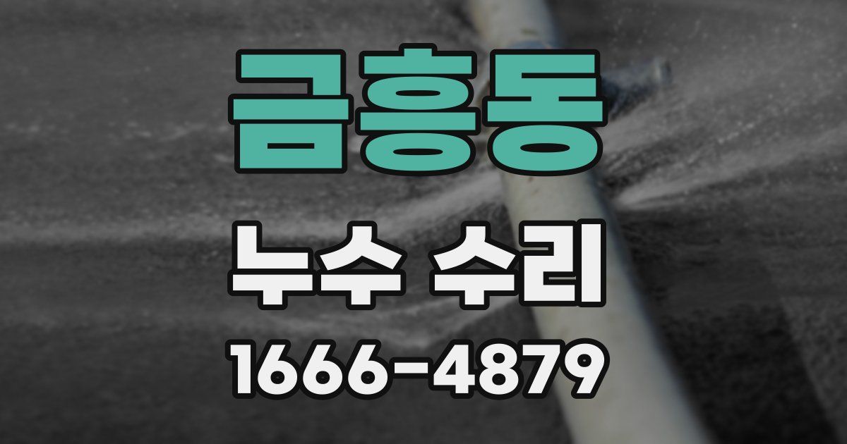 금흥동 누수 수리