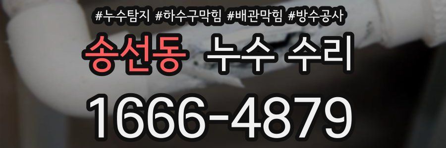 송선동 누수 수리