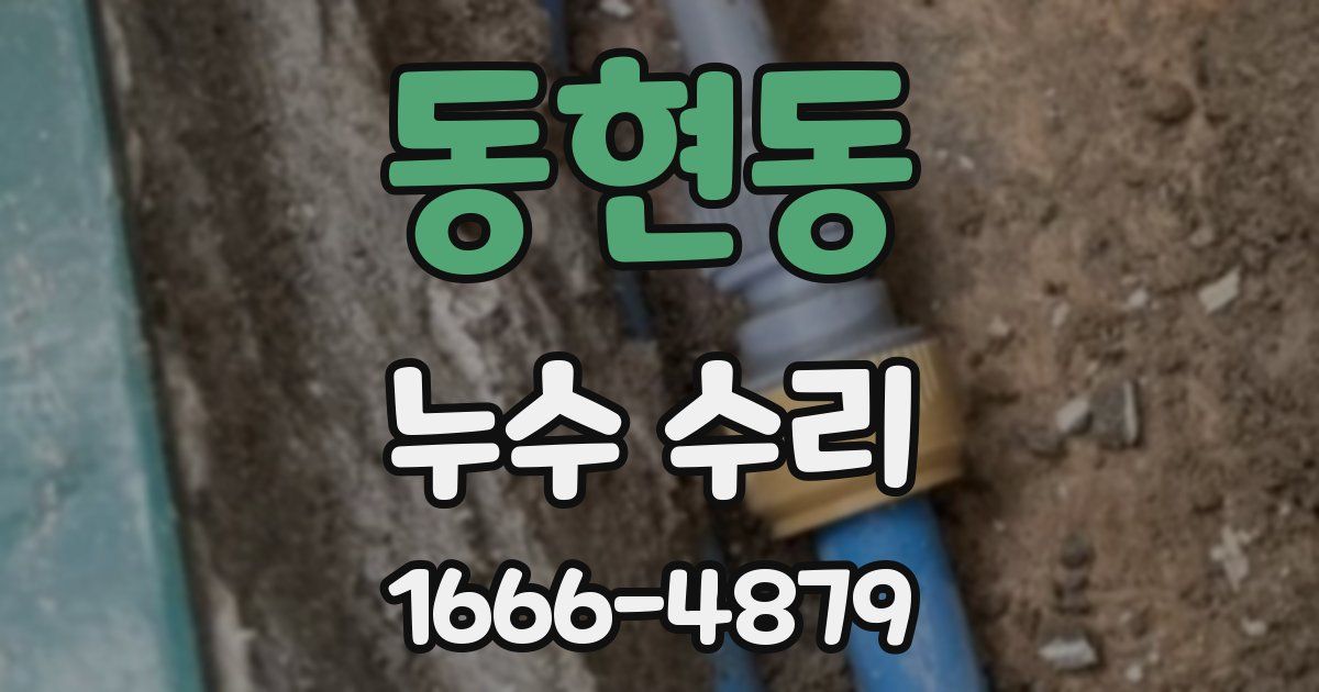 동현동 누수 수리