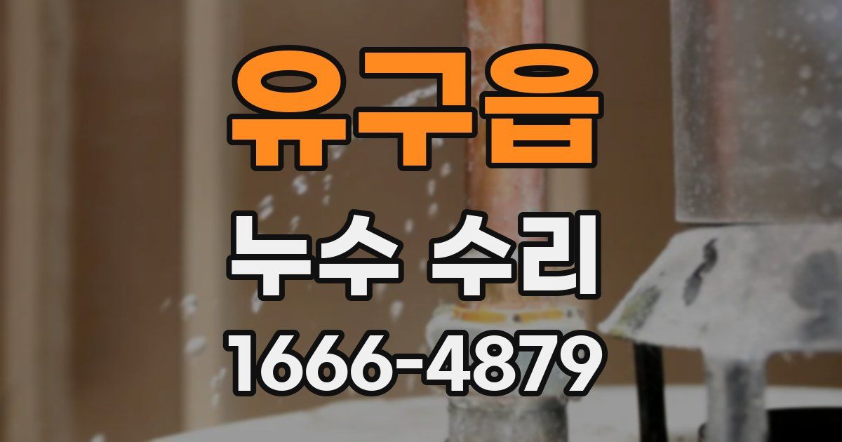 유구읍 누수 수리