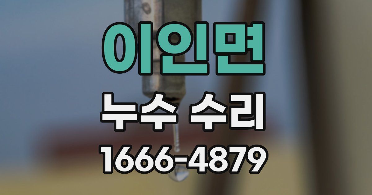 이인면 누수 수리