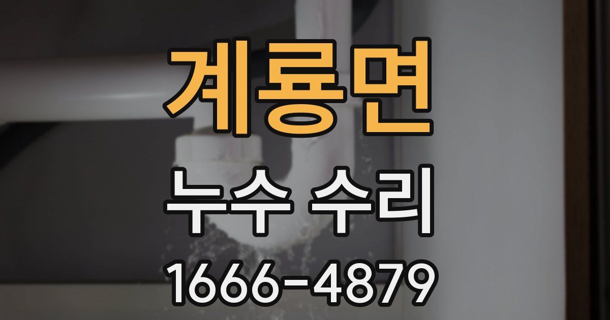 계룡면 누수 수리