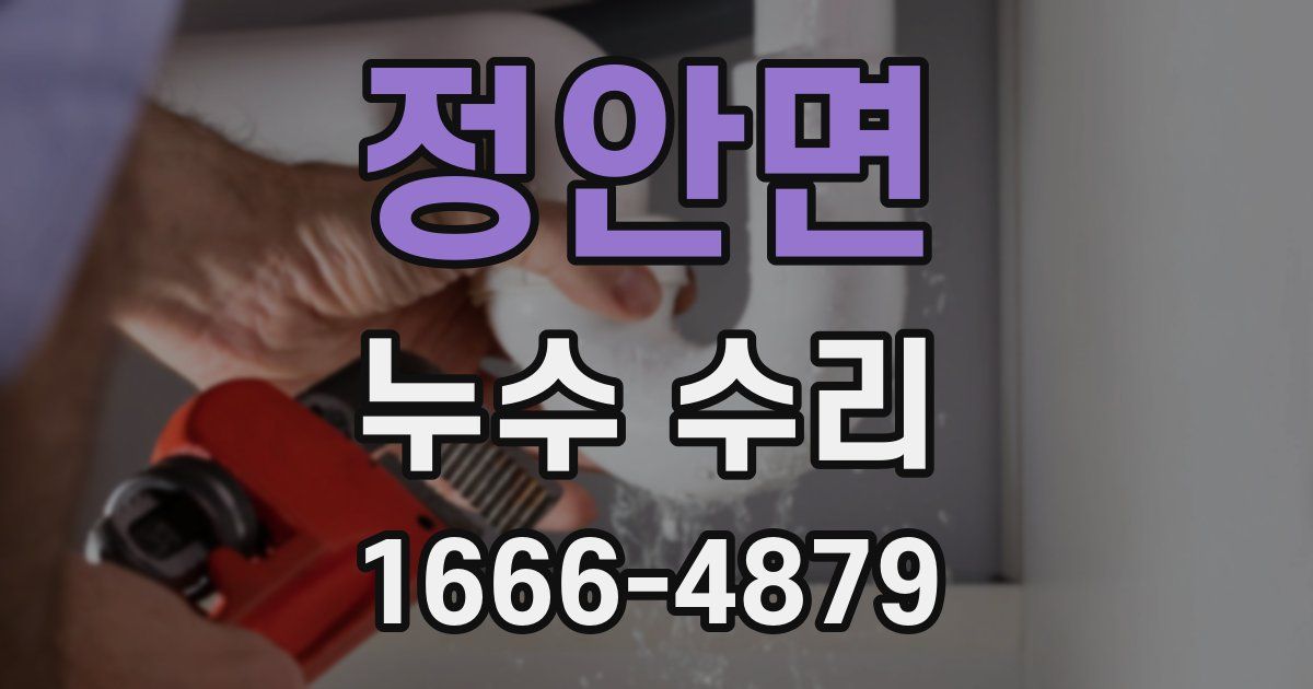 정안면 누수 수리