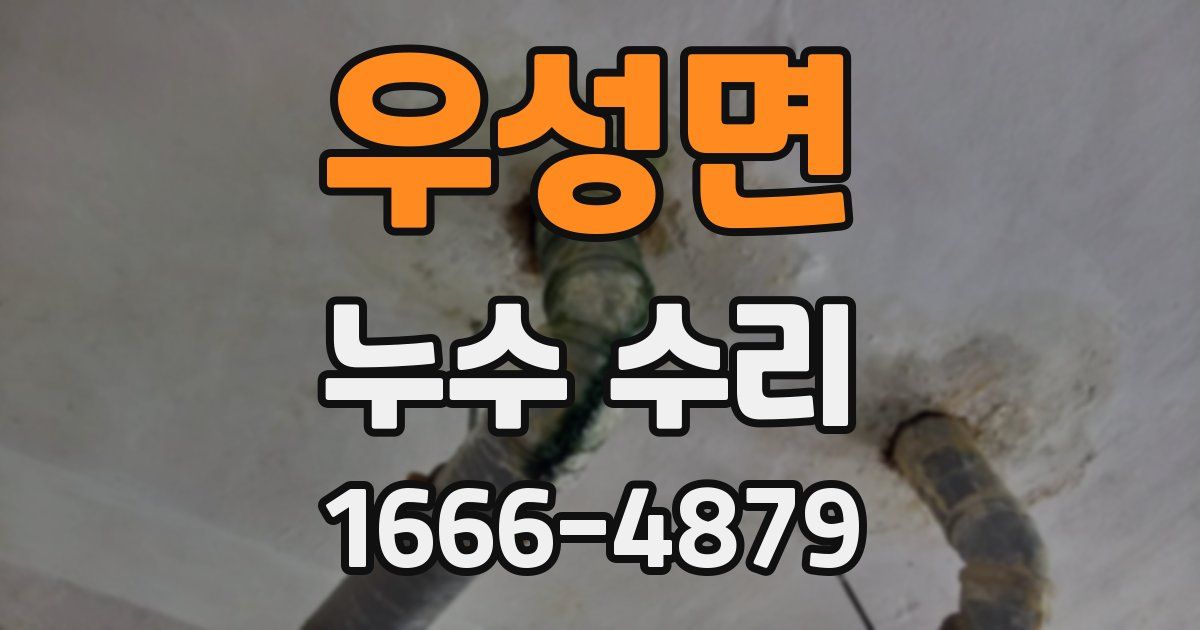 우성면 누수 수리