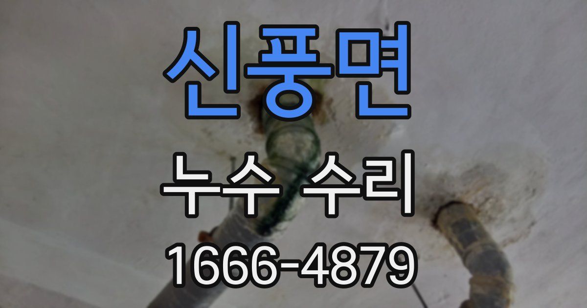 신풍면 누수 수리