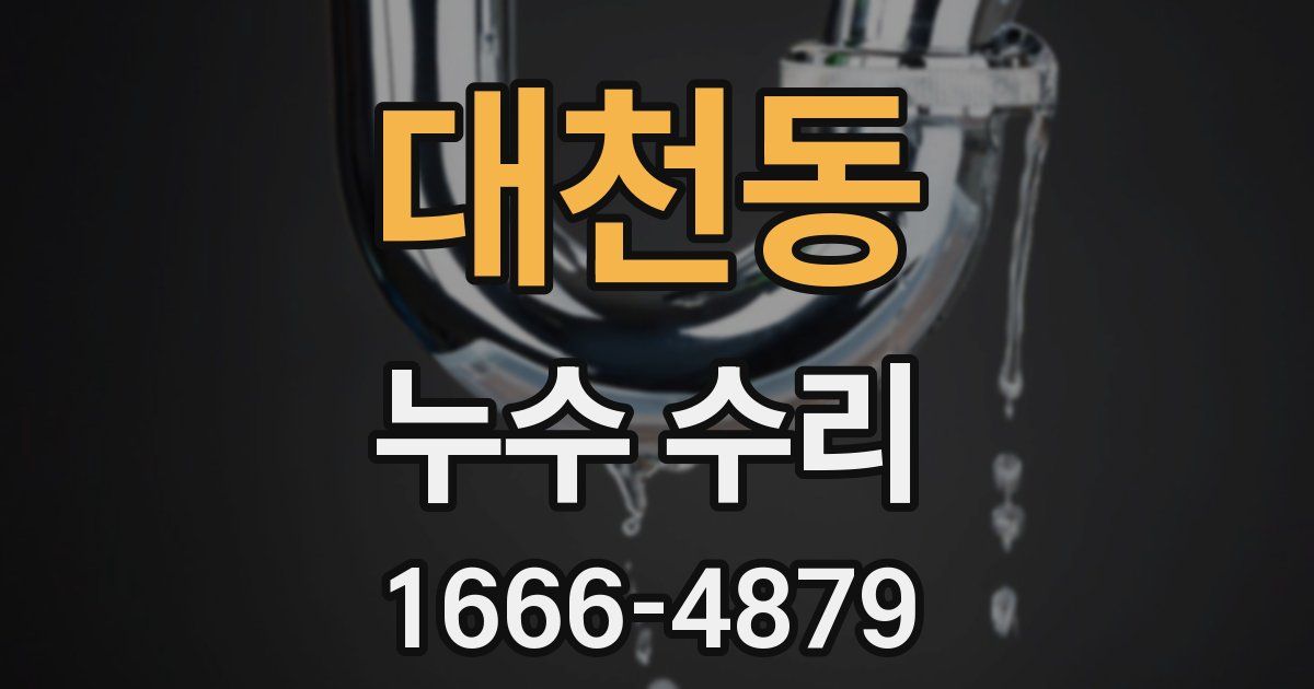 대천동 누수 수리