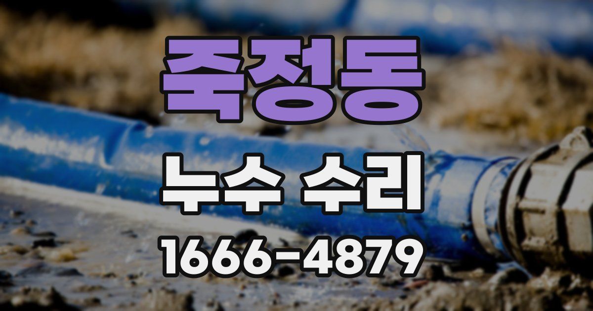 죽정동 누수 수리
