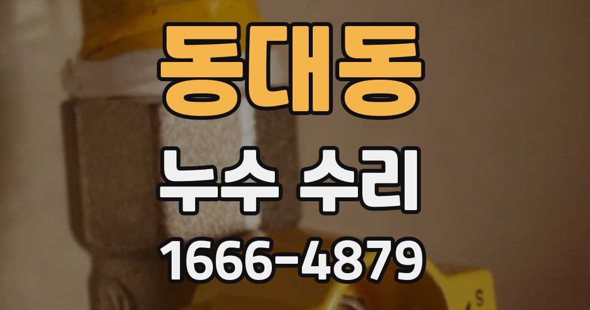 동대동 누수 수리
