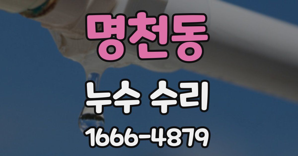명천동 누수 수리