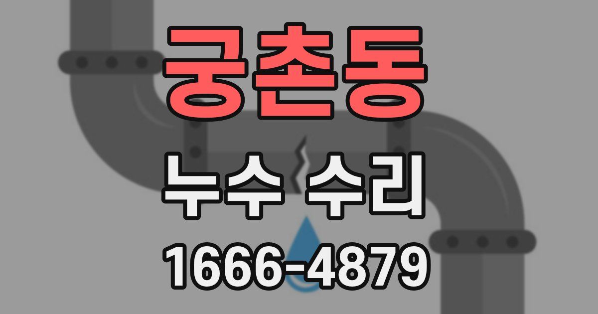 궁촌동 누수 수리