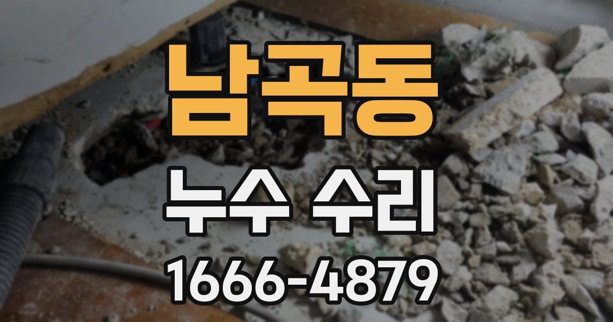 남곡동 누수 수리