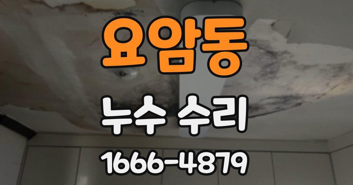 요암동 누수 수리