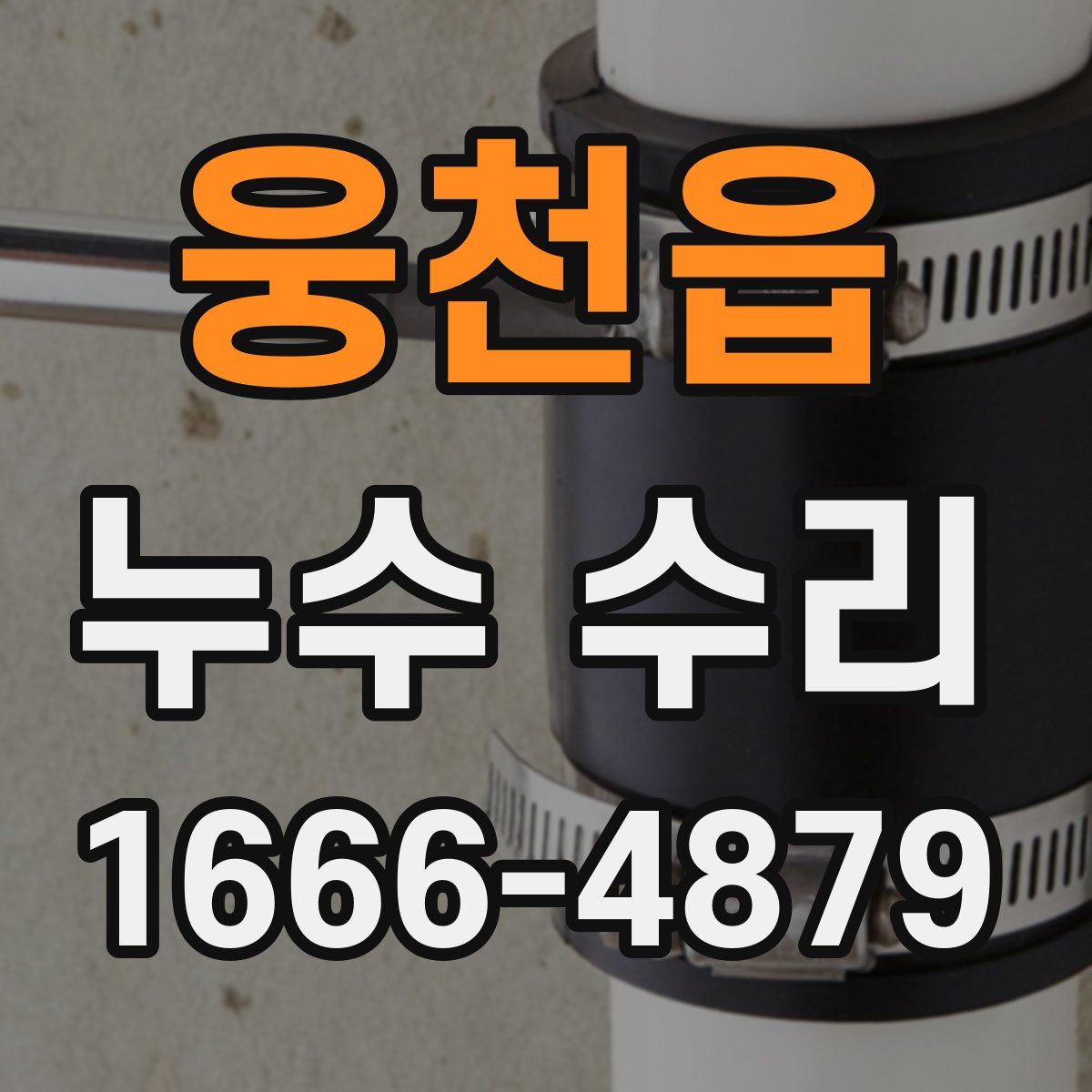 웅천읍 누수 수리