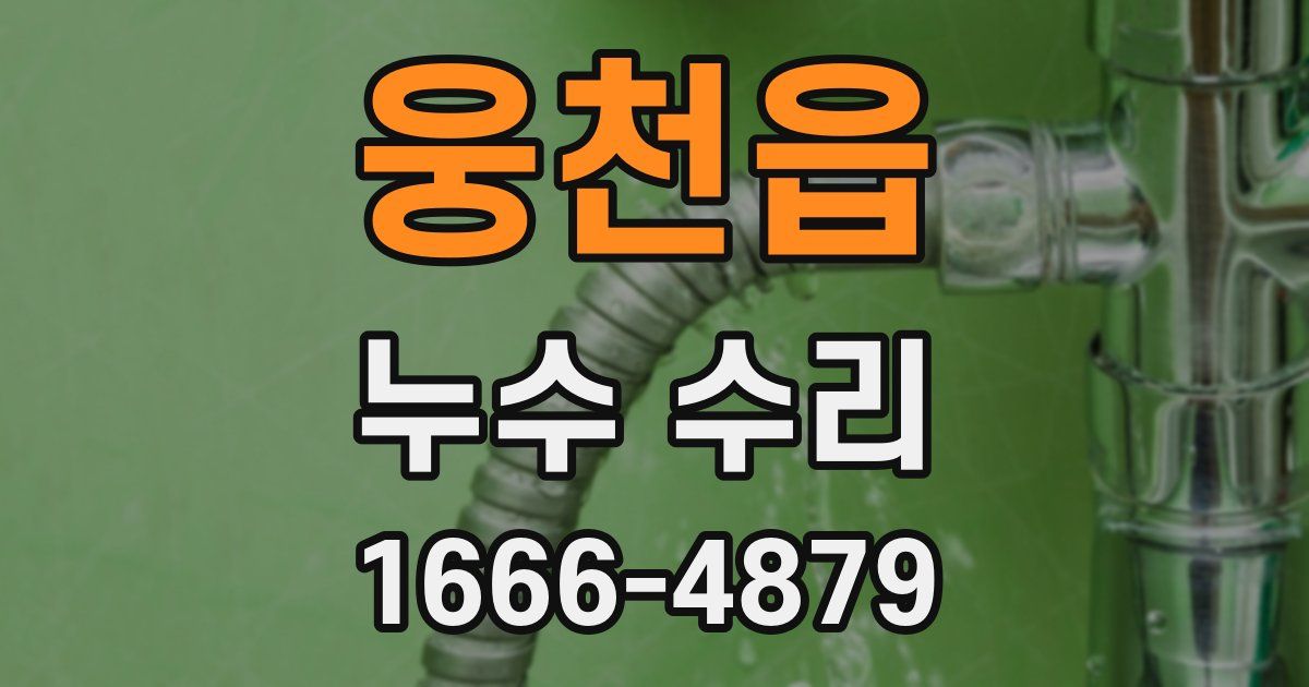 웅천읍 누수 수리