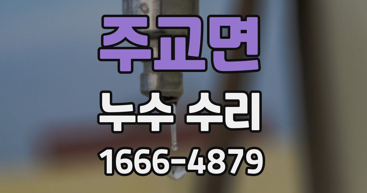 주교면 누수 수리