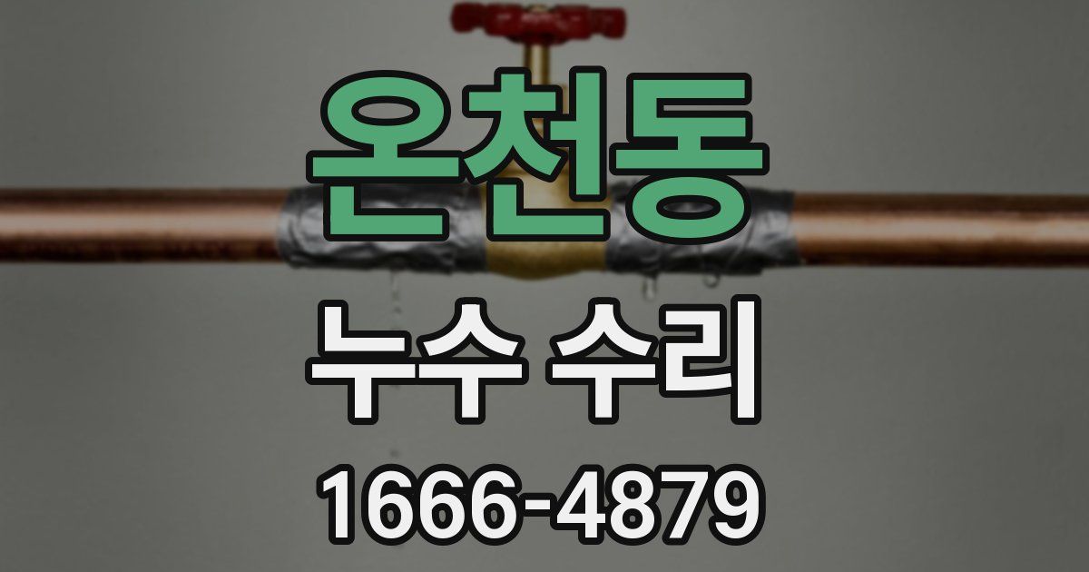 온천동 누수 수리