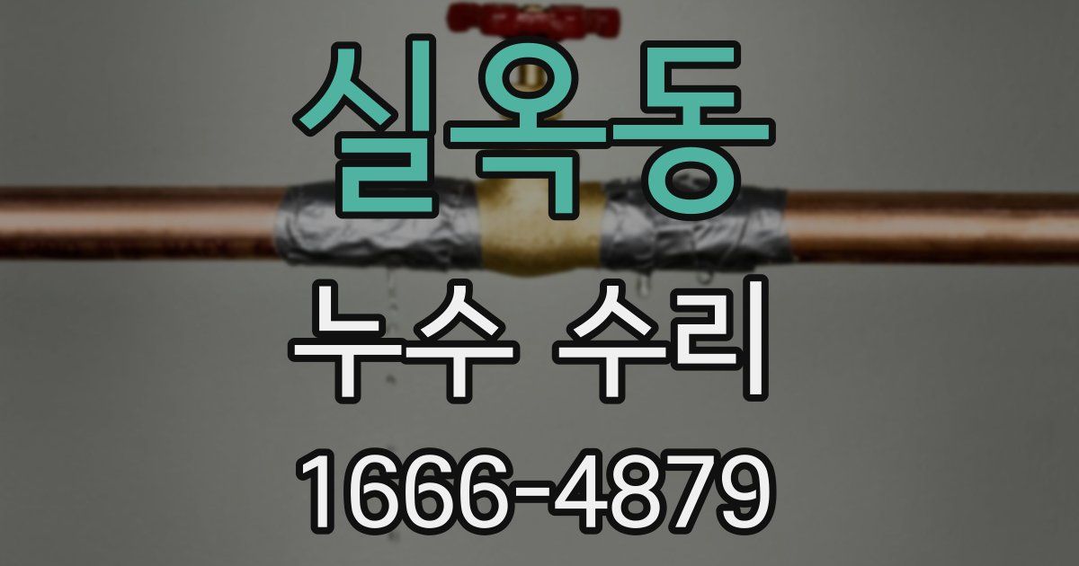 실옥동 누수 수리
