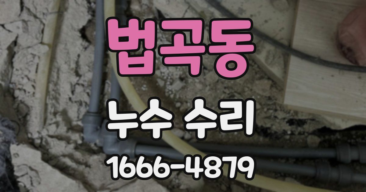 법곡동 누수 수리
