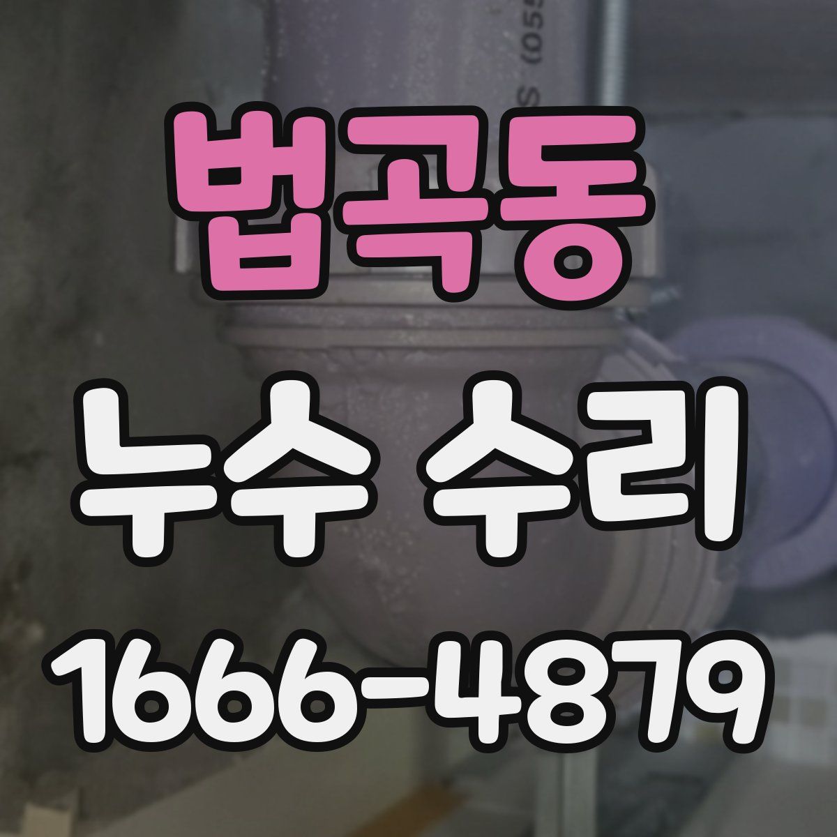 법곡동 누수 수리