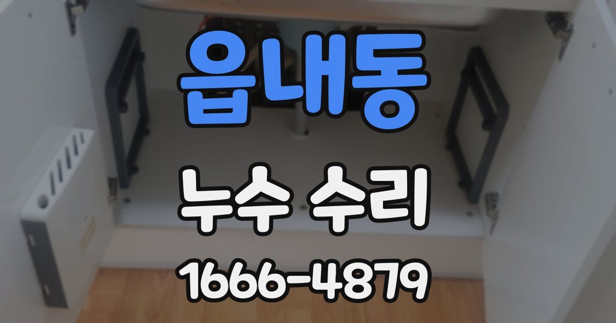 읍내동 누수 수리